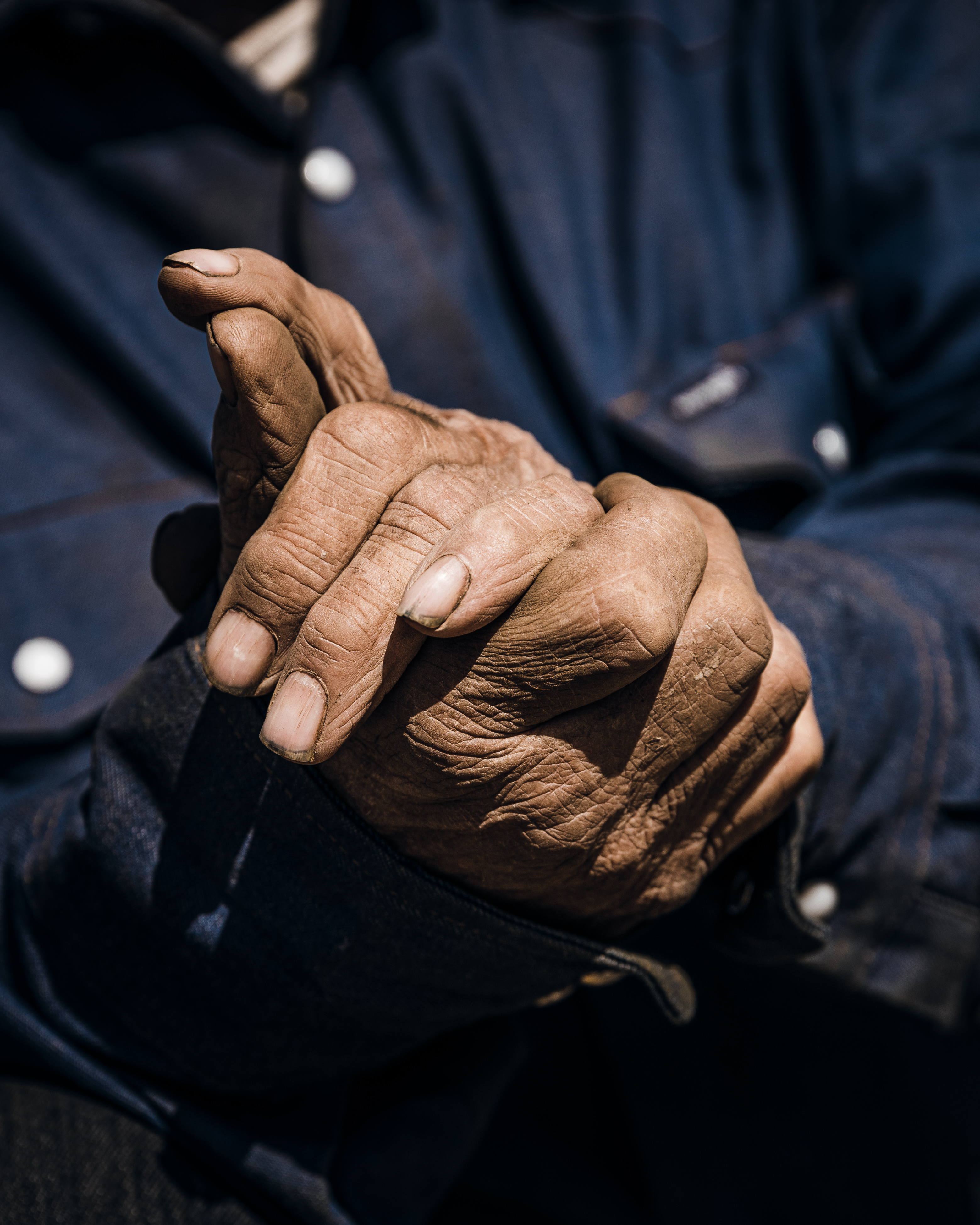 San_Francisco_Farm_photographer_Helynn_Ospina_002