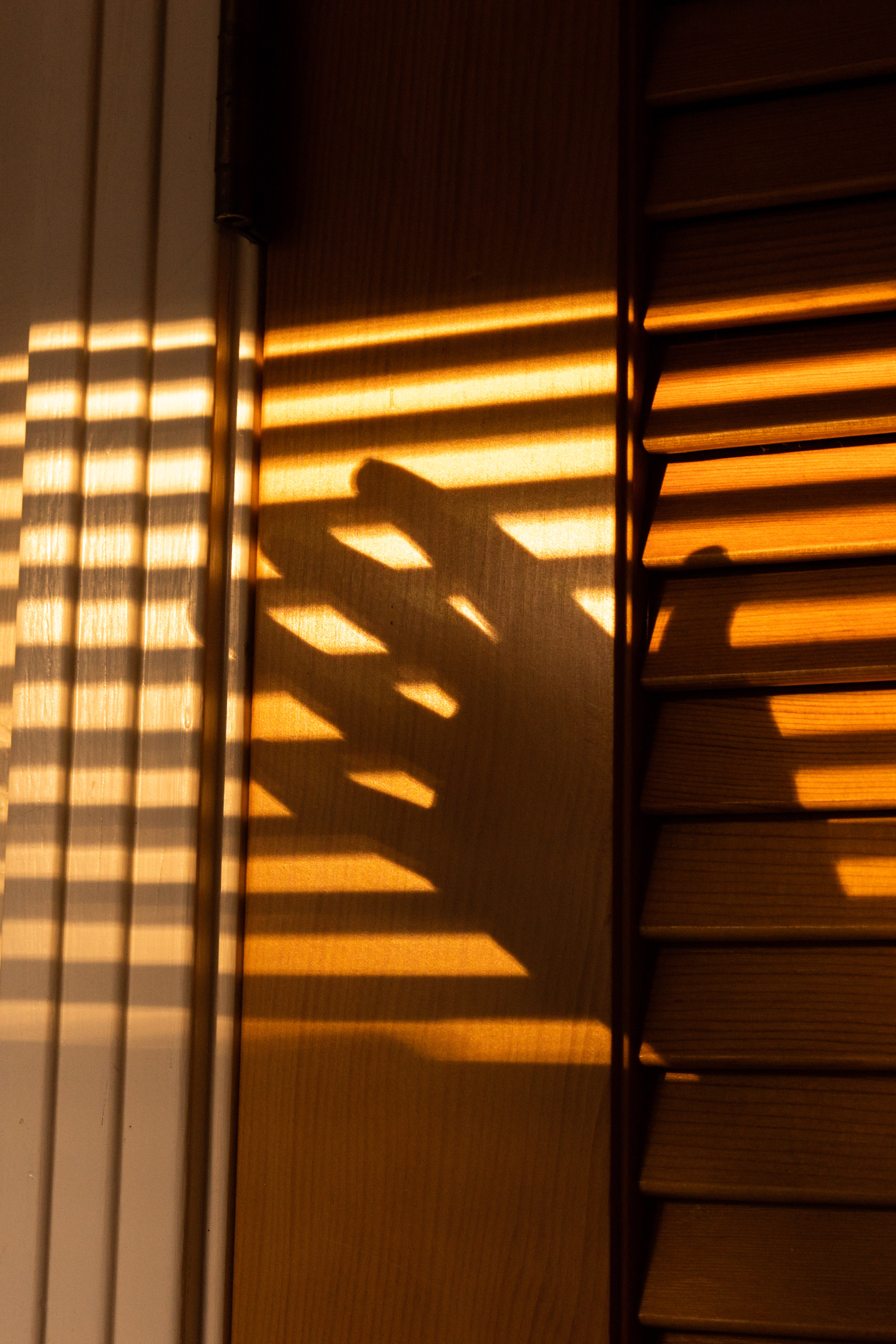 San_Francisco_Fine_art_photographer_Helynn_Ospina_2500